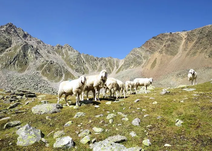 Casa vacanze Waldhof By Interhome Im Brand